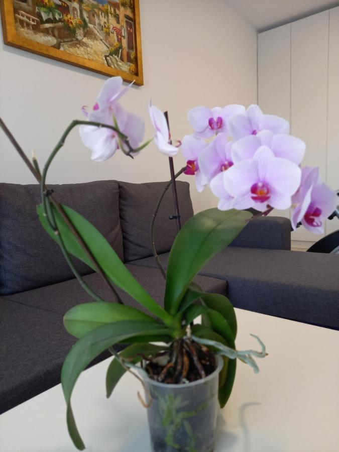 Lavanda Apartment Oradea Eksteriør billede