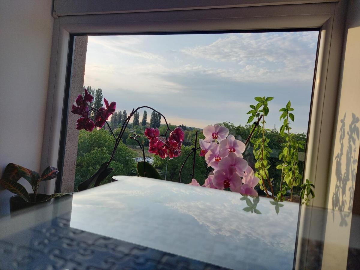 Lavanda Apartment Oradea Eksteriør billede